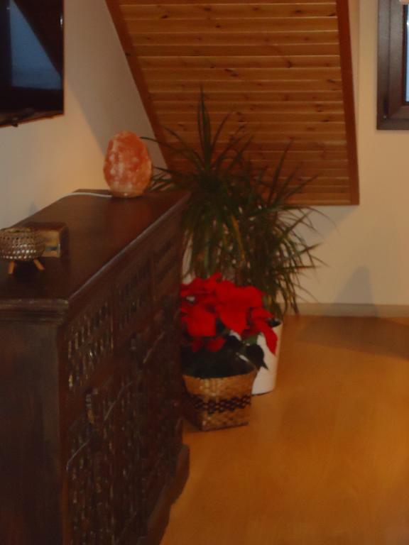 Petralona Apartment Agios Athanasios Экстерьер фото